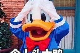 娱乐吃瓜姐买鸭,揭秘“吃瓜姐买鸭”背后的故事